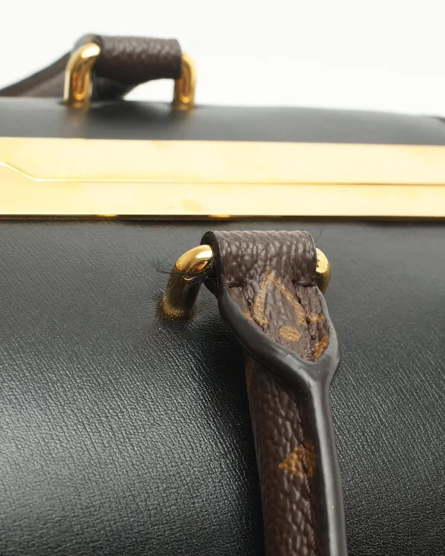 Louis Vuitton Monogram Speedy Doctor 25 Bag in Coated canvas from A Retro Tale, photo 7 of 10