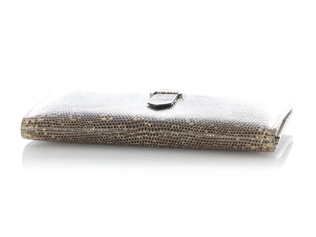 Hermès Ombré Lizard Long Béarn Wallet in Lizard from Ann's Fabulous Finds, photo 5 of 9