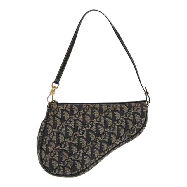 Dior Saddle in Canvas from The Brand Collector, photo 1 of 1