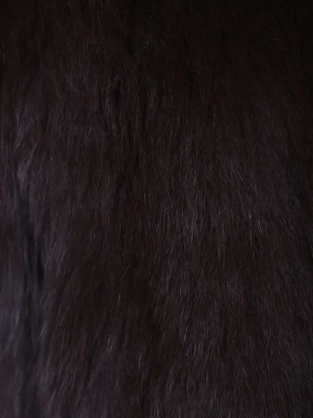 Yves Salomon Long-sleeved fur, photo 3 of 3 from SENSER