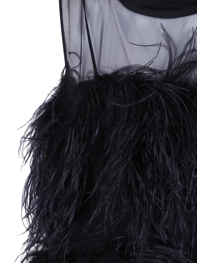 Alberta Ferretti Ethereal Silk Chiffon Feather Gown, photo 3 of 6 from SENSER