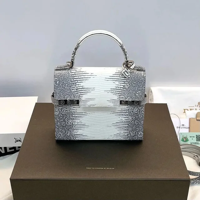 Delvaux Tempete Lizard Skin Handle Bag in multicolor Lizard from Grailed, photo 1 of 1