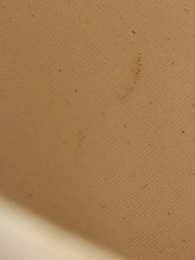 Hermès Saxo MM Beige in Beige Canvas from VINTAGE QOO TOKYO, photo 15 of 17