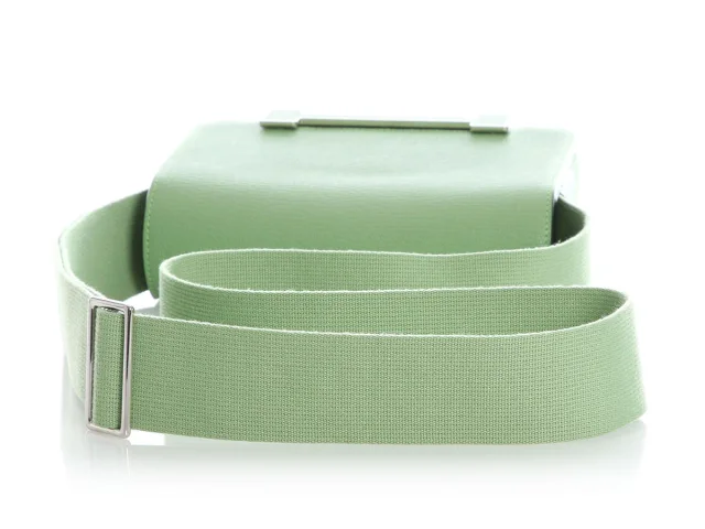 Hermès Vert Criquet and Vert Fizz Chèvre Mysore Geta in Green Goatskin from Ann's Fabulous Finds, photo 7 of 10