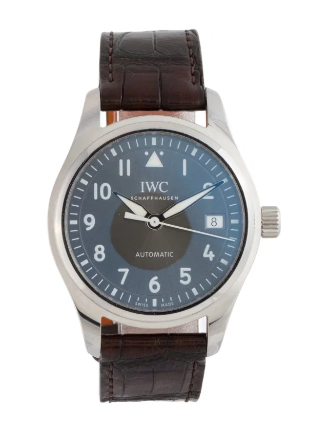 IWC Pilot’s Watch in multicolor Crocodile from The RealReal