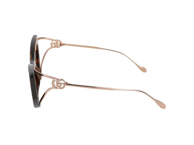 Gucci Gg1565s Sunglasses — Havana Injected from HEWI, photo 2 of 4
