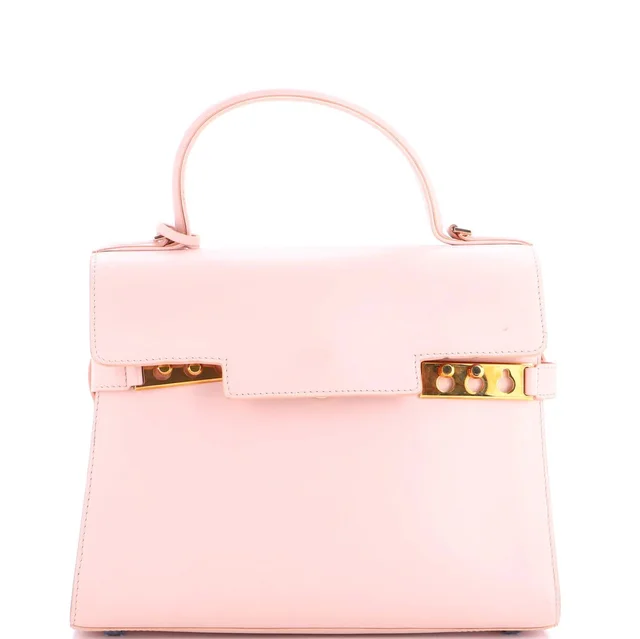 Delvaux Mm Tempete Top Handle Bag Leather in pink Leather from Poshmark, photo 1 of 1