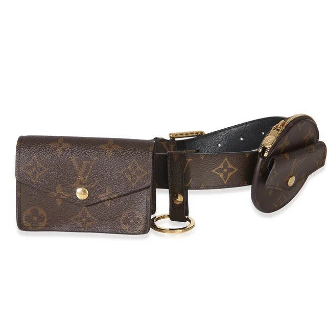 Louis Vuitton Monogram Canvas Daily Multi Pocket Belt Brown Handbag in Brown Coated canvas from HEWI