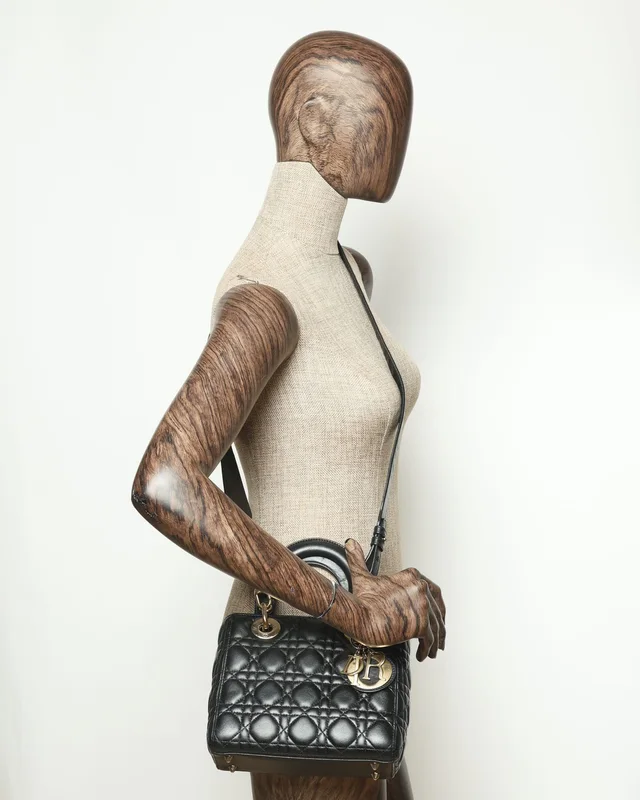 Small My Lady Dior ABC Bag in Lambskin from A Retro Tale, photo 10 of 10