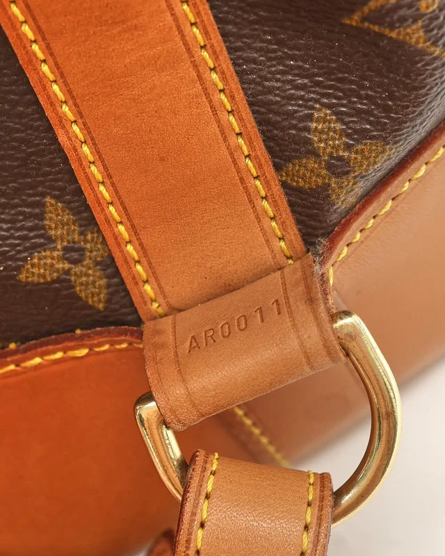 Louis Vuitton Monogram Randoné PM Bag in Coated canvas from A Retro Tale, photo 7 of 8
