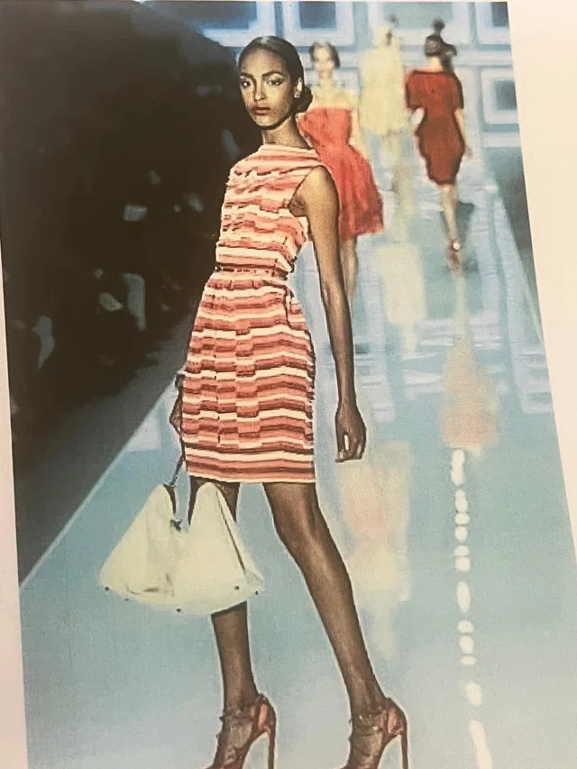 Dior 2012 4 tones dress from Luxury Promise
