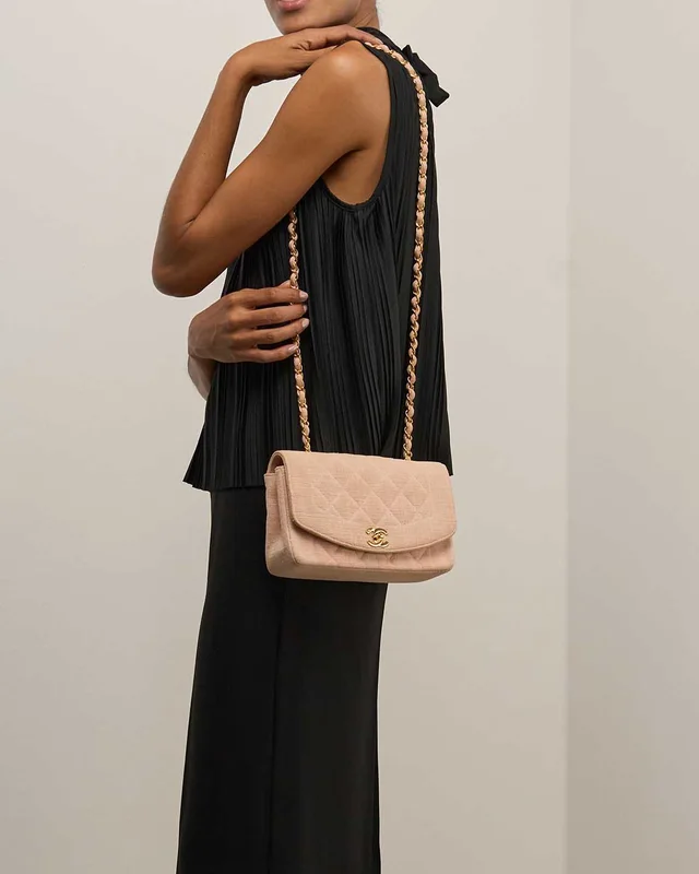 Chanel Diana Small Canvas Rose in Pink Canvas from SACLÀB, photo 2 of 3