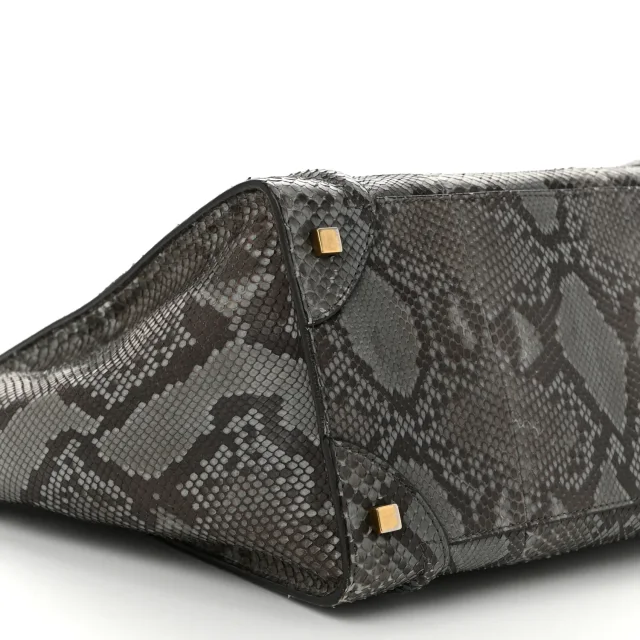 Celine Snakeskin Mini Luggage Multicolor in Multicolor Leather from FASHIONPHILE, photo 8 of 12