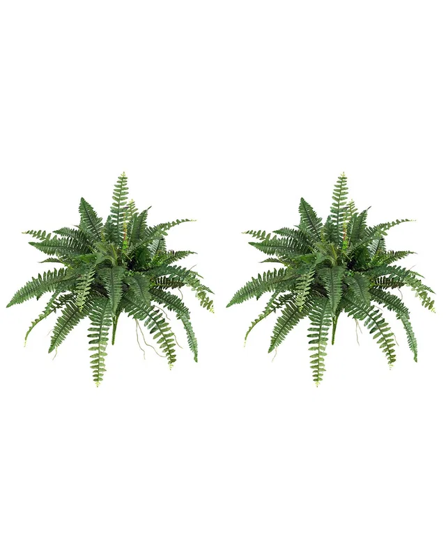 Nearly Natural Set of Two 40in Boston Ferns, image 1 of 1 from Rue La La