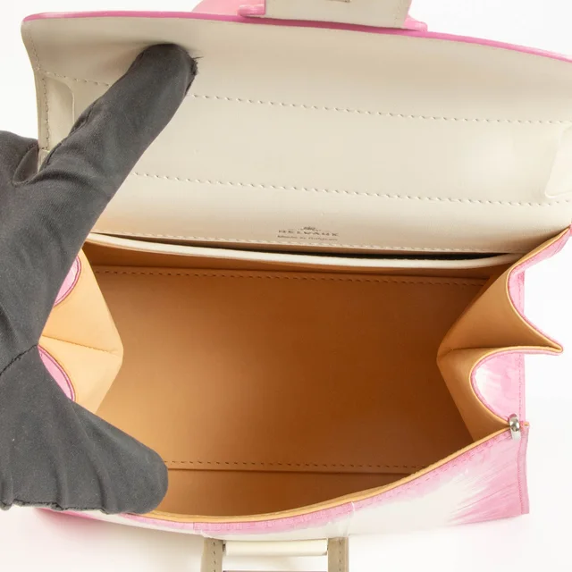 Delvaux Flamingo Oeillet Brillant Mini Bag from Labellov, photo 6 of 9