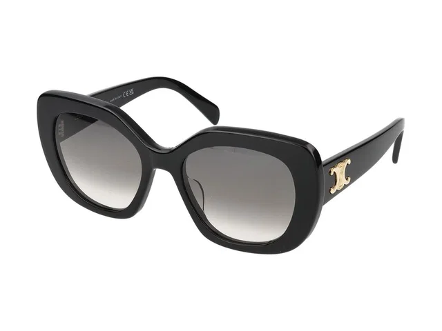 Celine Cl40226u Sunglasses — Black Standard in Black from HEWI
