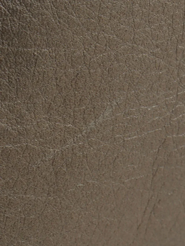 Loewe Heritage Bronze in Leather from VINTAGE QOO TOKYO, photo 18 of 19