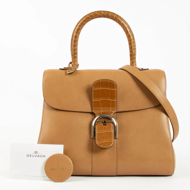 Delvaux Vegetal Alligator/Dream Brillant MM Bag in Crocodile from Labellov, photo 2 of 6