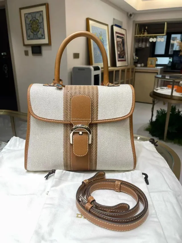Delvaux Brilliant Canvas & Caramel Mm Bag Unused in multicolor Canvas from Grailed