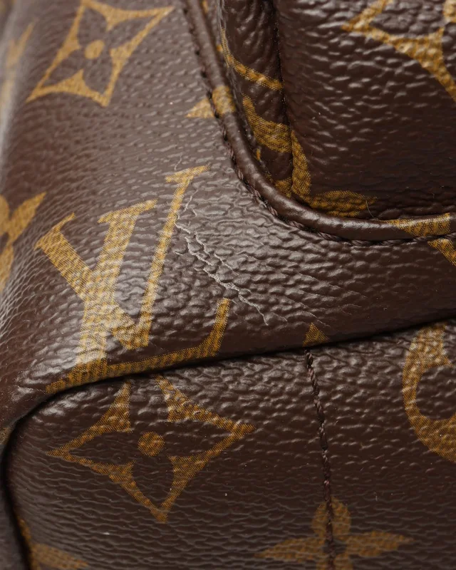 Louis Vuitton Monogram Palm Springs MM Backpack in Canvas from A Retro Tale, photo 8 of 9