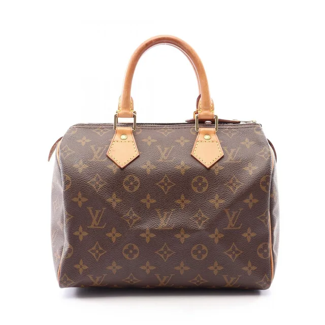 Louis Vuitton Handbag Speedy 25 Leather in Leather from The Reluxe