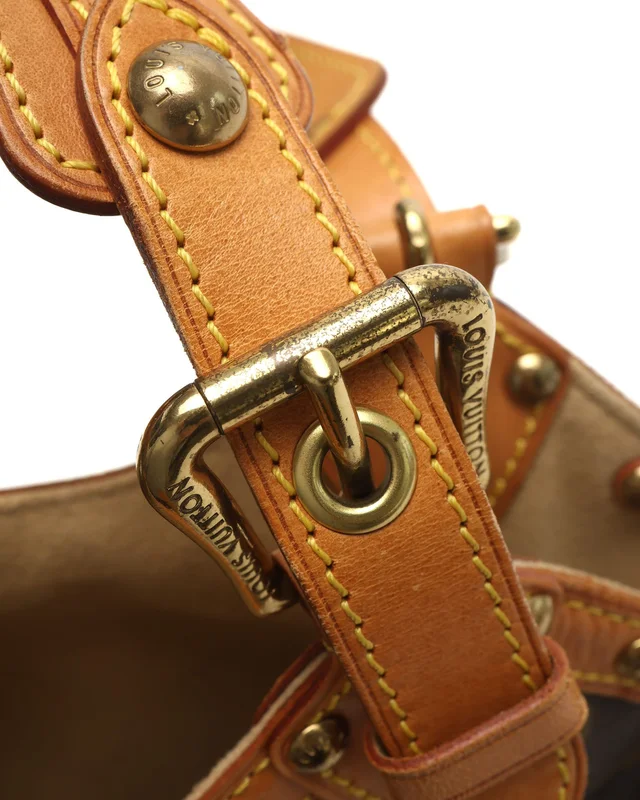 Louis Vuitton Monogram Theda GM Bag in Coated canvas from A Retro Tale, photo 5 of 10