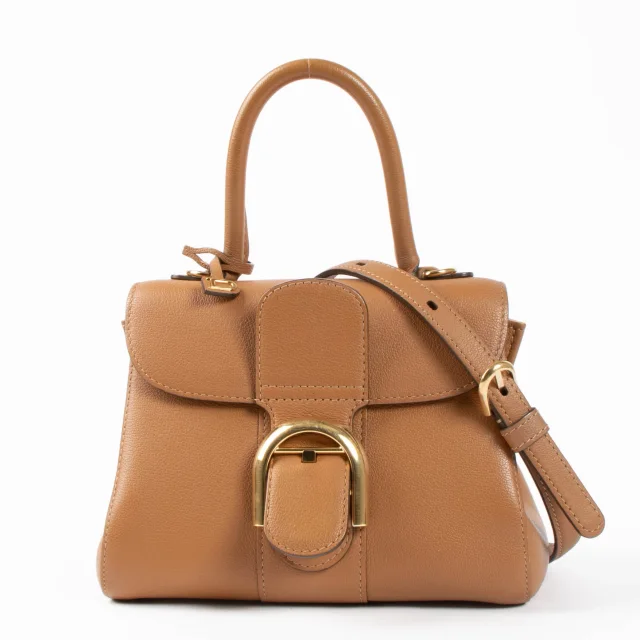Delvaux Vegetal Rodeo Calf Brillant Mini Bag in Calfskin from Labellov, photo 2 of 3