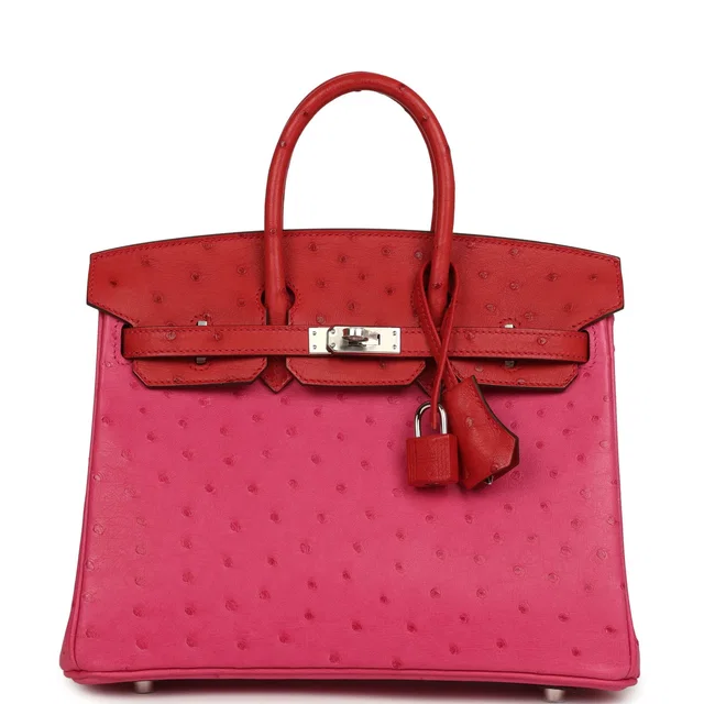 Hermès Birkin 25 Rose Tyrien, Rouge Vif Ostrich Touch Palladium Hardware in Red Ostrich from Madison Avenue Couture