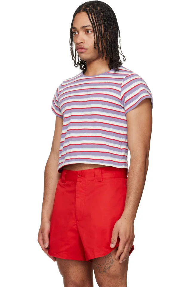 LII Purple & Red Cropped Stripe T-shirt, photo 4 of 5 from SSENSE