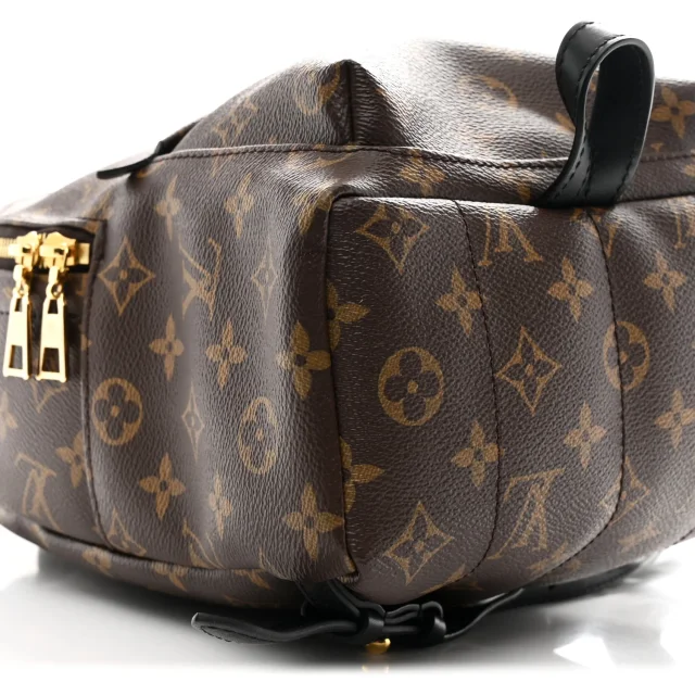 Louis Vuitton Monogram Palm Springs Backpack PM in Calfskin from FASHIONPHILE, photo 8 of 9