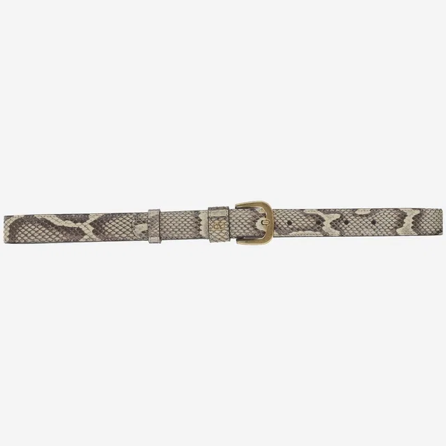 Valentino Garavani Python Leather Belt — Multicolor in Multicolor Python from HEWI
