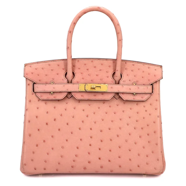 Hermès Birkin 30 Terre Cuite (94) from Ginza Xiaoma