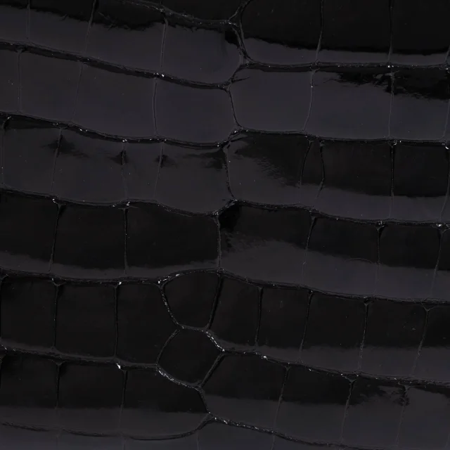 Delvaux Black Shiny Alligator Brillant Mini Bag in Black Crocodile from Labellov, photo 9 of 13