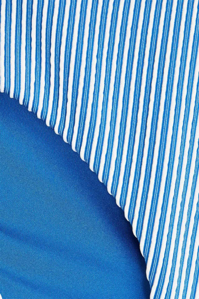 Onia Daisy Striped Low-Rise Bikini Briefs in Blue, photo 4 of 4 from THE OUTNET
