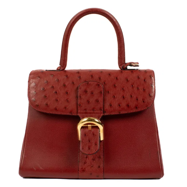 Delvaux Red Ostrich Brillant MM in Red Ostrich from Labellov