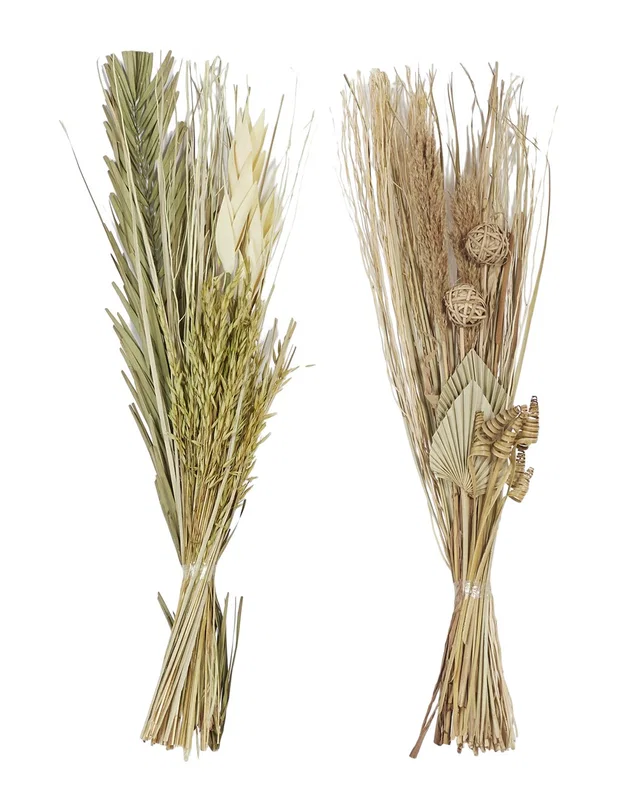 Peyton Lane Set Of 2 Pigeon Pea Brown Dried Plant Natural Foliage, image 1 of 1 from Rue La La