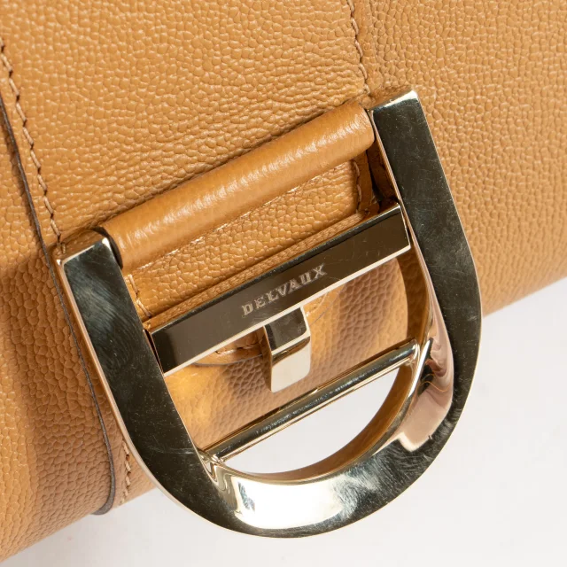 Delvaux Vegetal Rodeo Calf Brillant East West Mini Bag in Leather from Labellov, photo 8 of 9