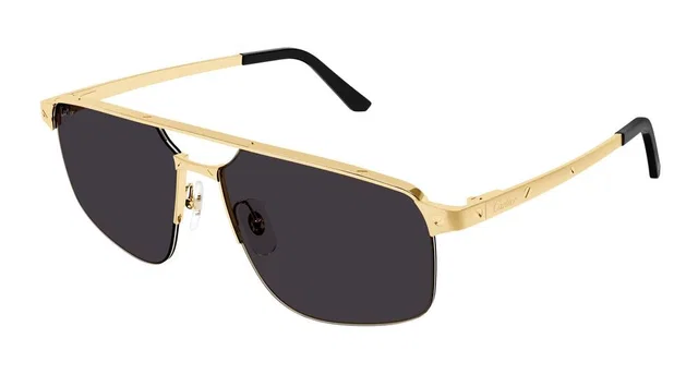Cartier Ct0385s Gold Metal Rectangle Sunglasses in Gold from HEWI