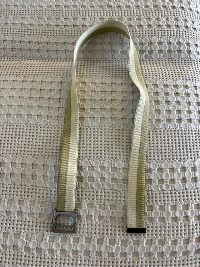 Ferragamo Cream And Light Green Webbing Belt With Silver Buckle in green|silver|gray from Poshmark, photo 1 of 1