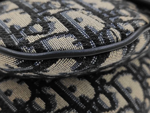 Dior Saddle Oblique Canvas in Canvas from Her-Age, photo 11 of 16
