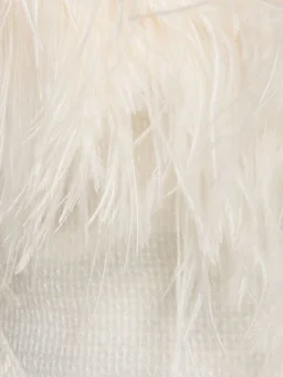 David Koma Top with feather details in 90% Polyester, 10% Polyamide, 100% Ostrich Feather, photo 5 of 5 from LUISAVIAROMA