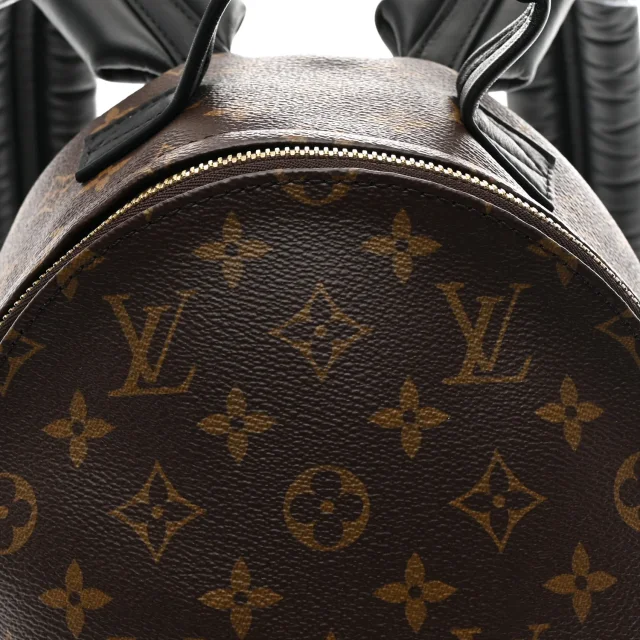Louis Vuitton Monogram Palm Springs Backpack PM in Calfskin from FASHIONPHILE, photo 7 of 9