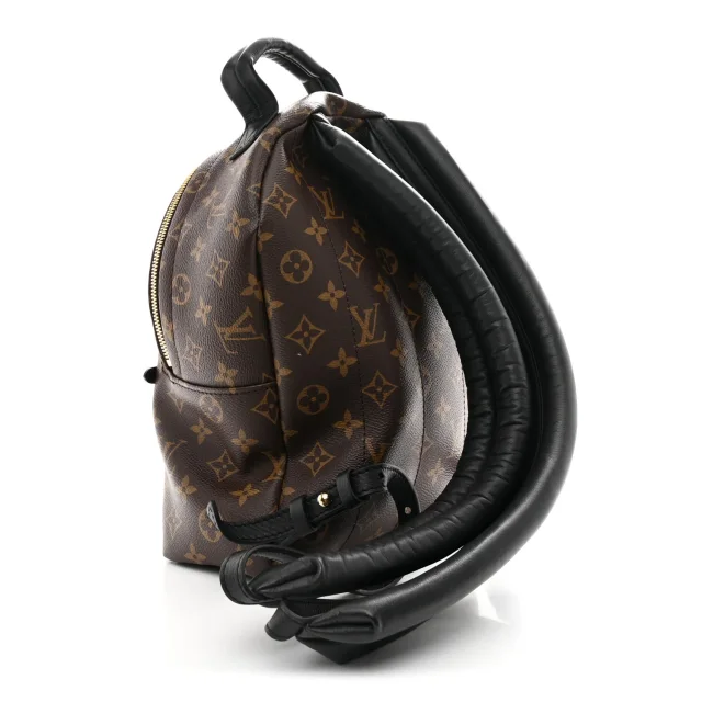 Louis Vuitton Monogram Palm Springs Backpack PM in Calfskin from FASHIONPHILE, photo 3 of 9