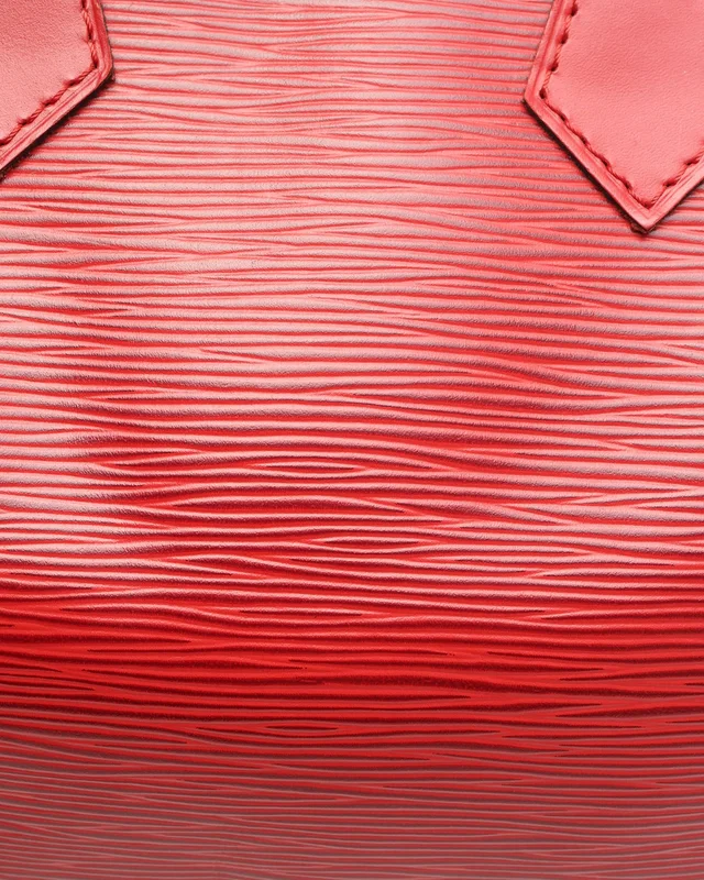 Louis Vuitton Epi Speedy 25 Bag in Leather from A Retro Tale, photo 7 of 13