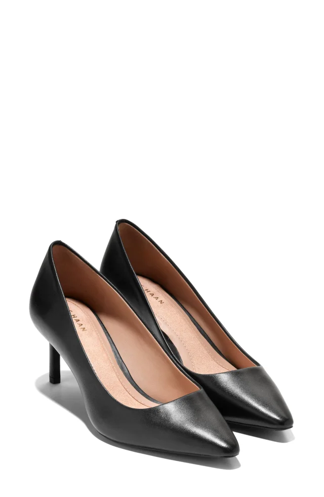 Cole Haan The Go-To Janey Pointed Toe Pump, photo 9 of 10 from Nordstrom Rack