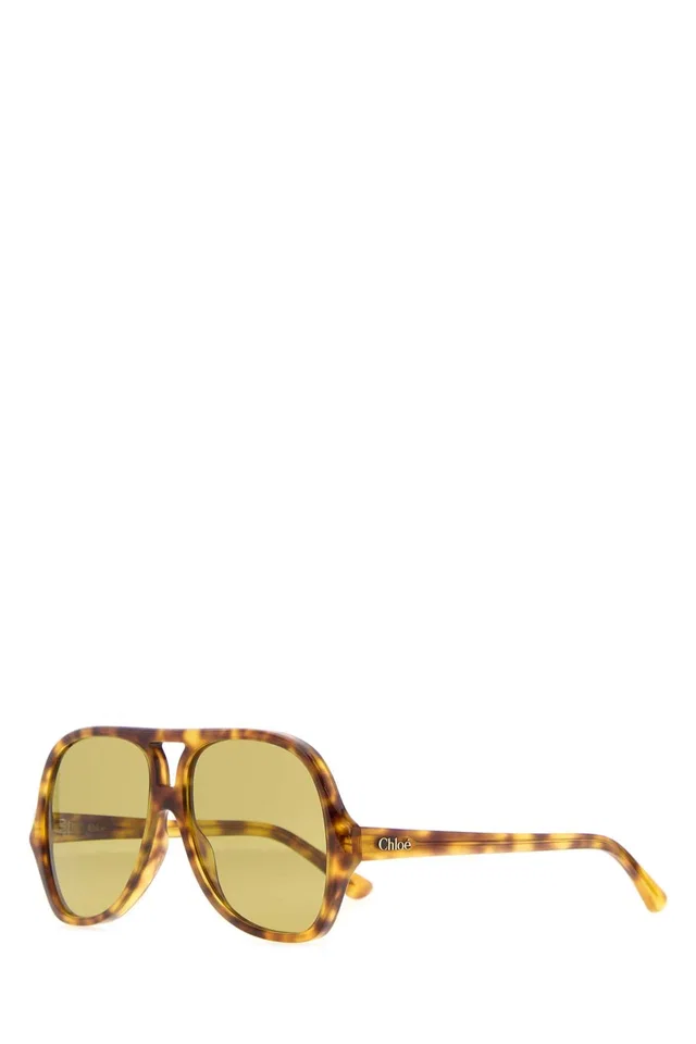 Chloé Glasses Tortoiseshell Acetate Sunglasses — Brown Exterior in Brown from HEWI
