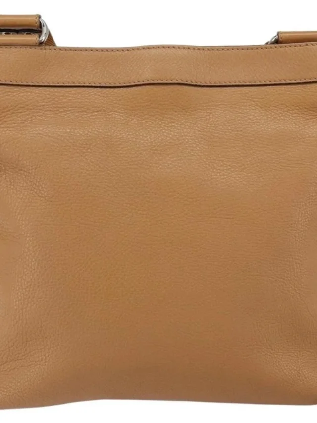 Ferragamo Gancini Shoulder Bag Leather Brown Silver in brown|red Leather from Poshmark, photo 3 of 16