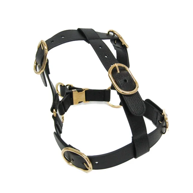 Gucci Interlocking G Pet Harness Large Size 695253 Dog Harness Leather Black in Black Leather from Elady