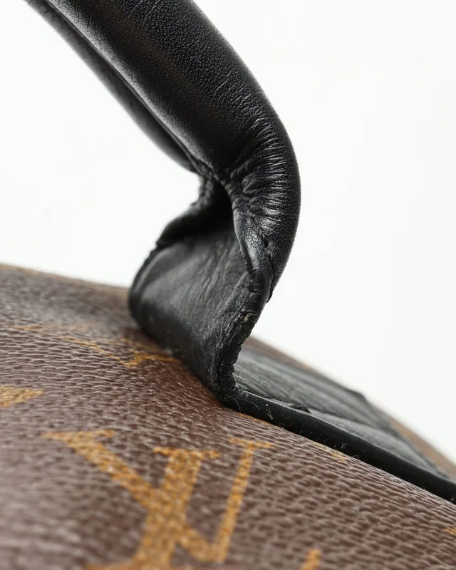 Louis Vuitton Monogram Palm Springs MM Backpack in Canvas from A Retro Tale, photo 6 of 9