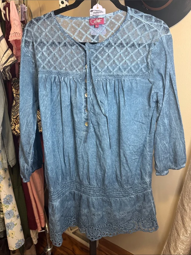 Celine Embroidered Cotton Tunic Top in blue from Poshmark